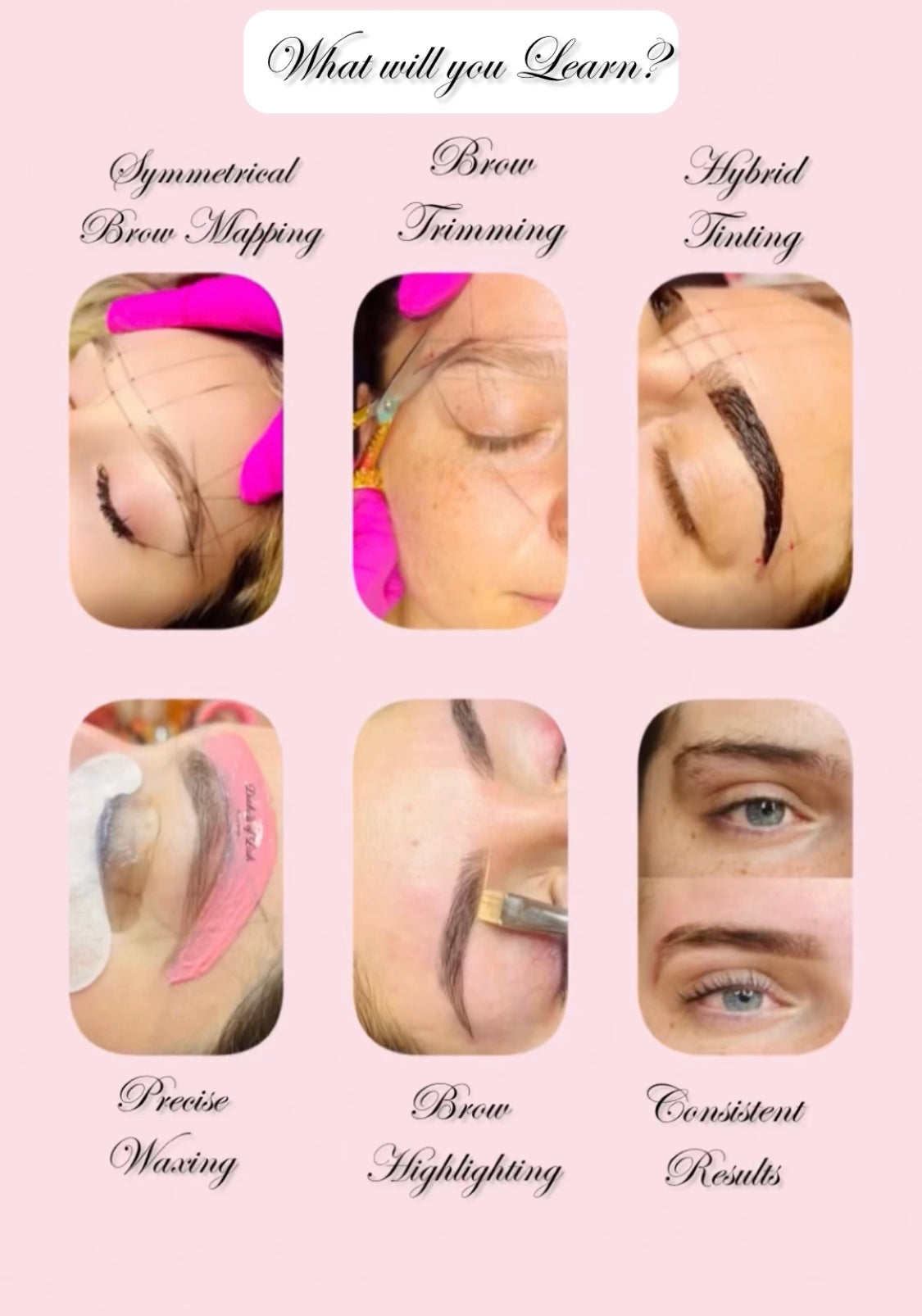 Symmetrical Brow Waxing & Hybrid Tinting Course