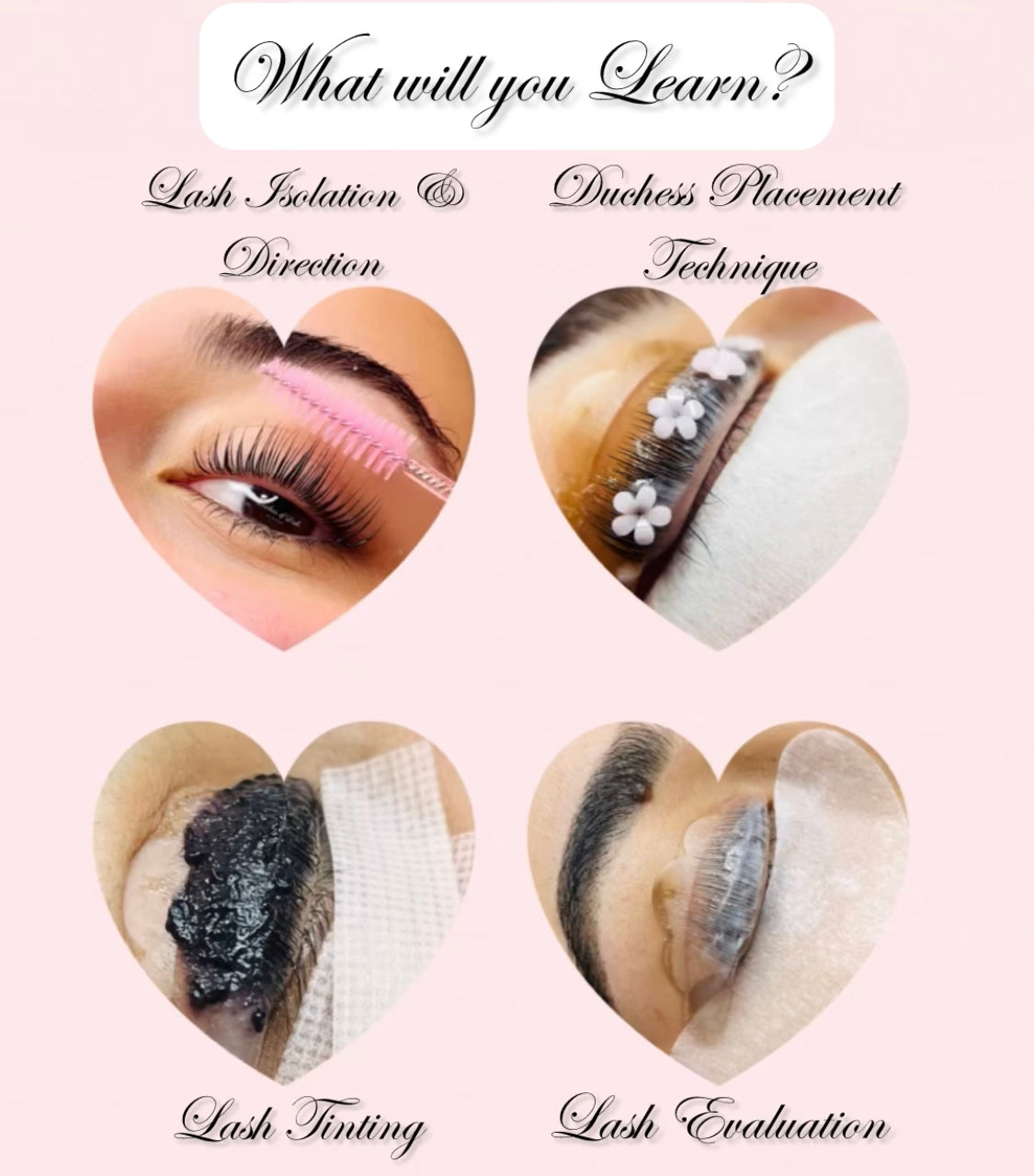 Extreme Keratin Lash Lift & Tint Online Course
