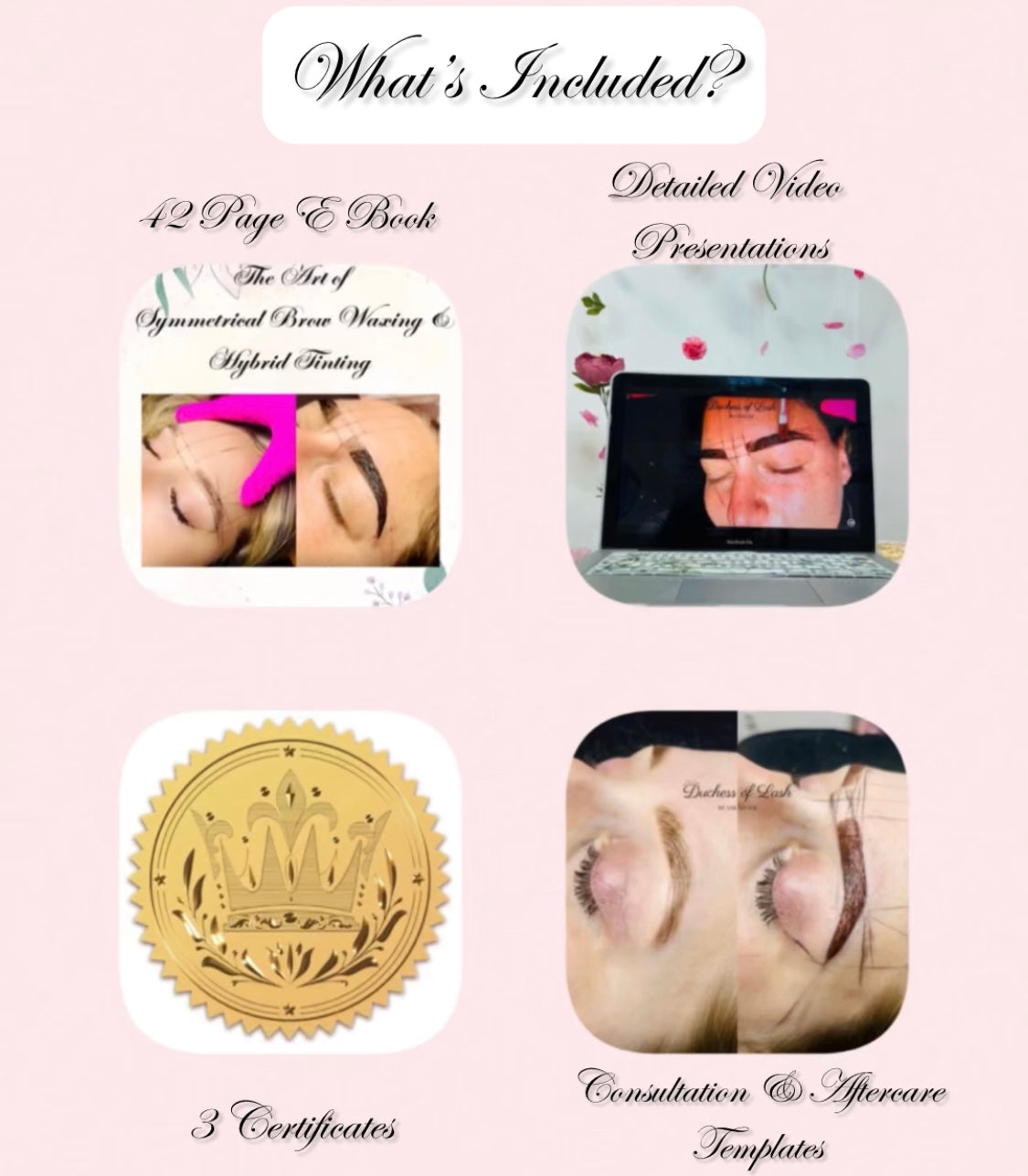 Symmetrical Brow Waxing & Hybrid Tinting Course
