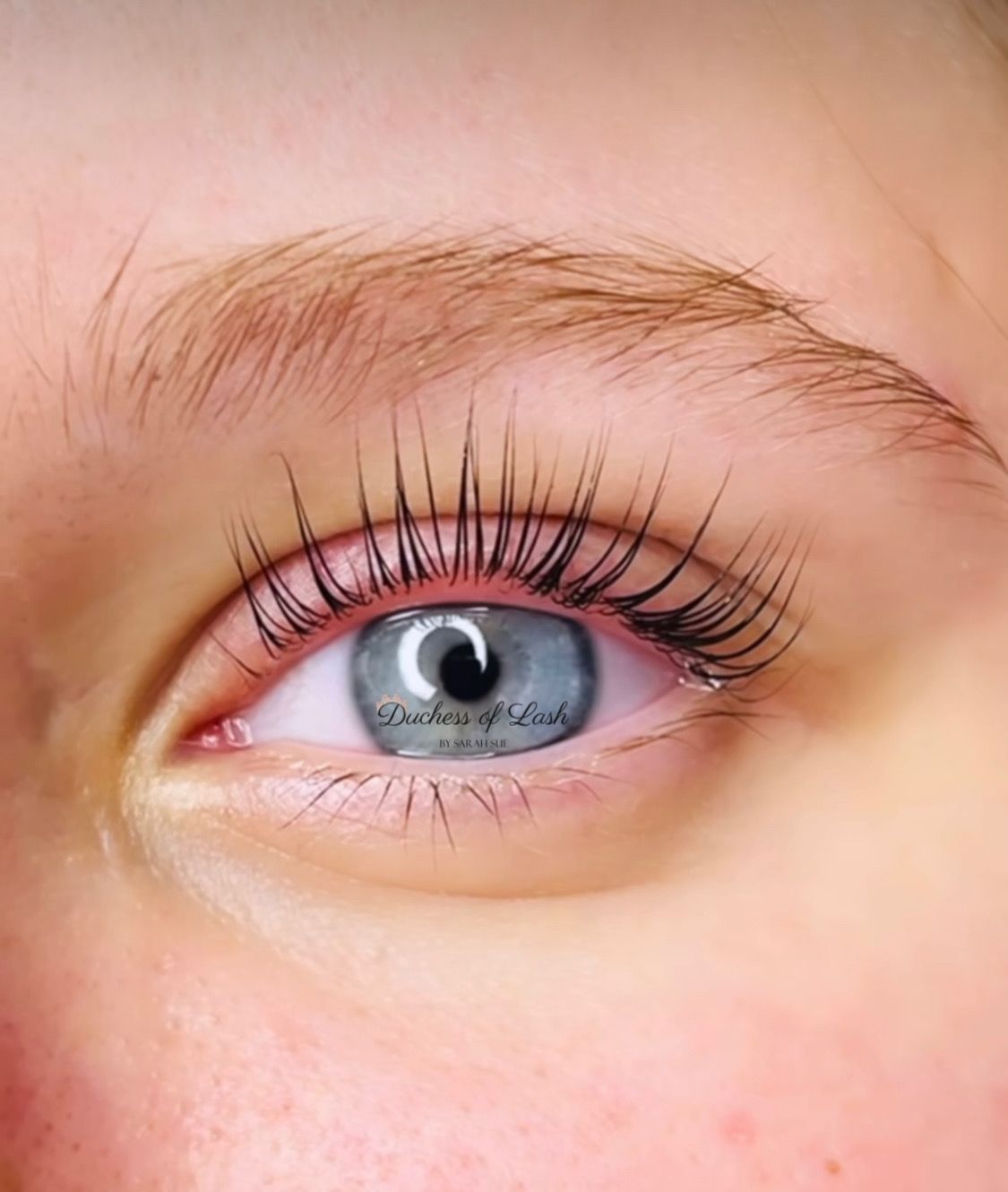 Extreme Keratin Lash Lift & Tint Online Course